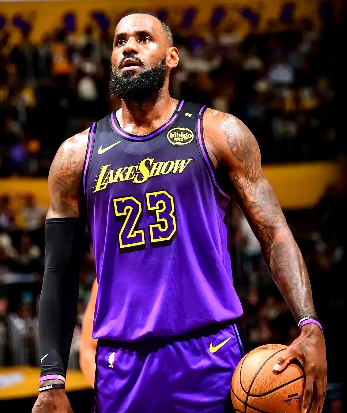 乐鱼体育官网-湖人擒灰熊，詹姆斯砍下35分