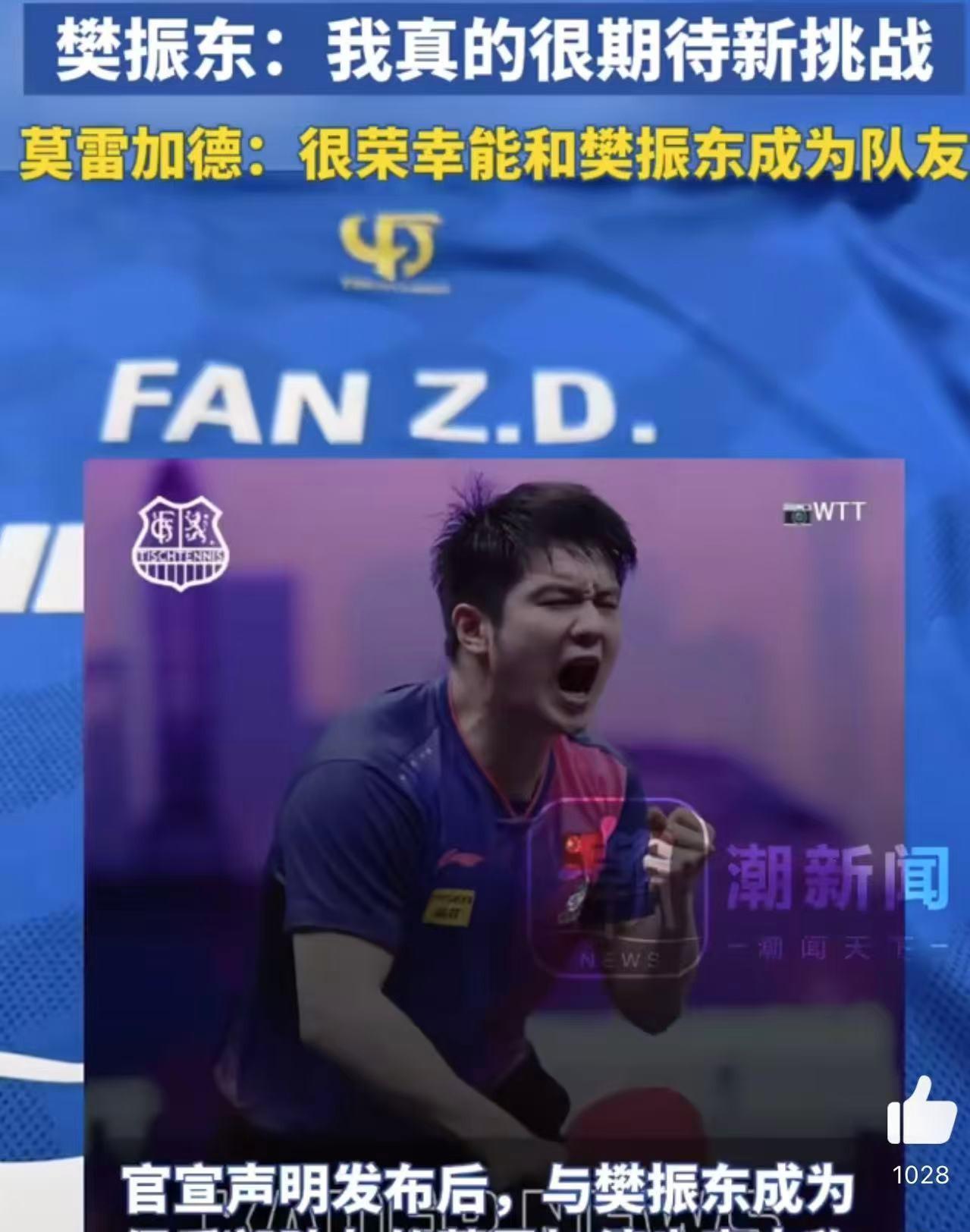 德国乒乓球队绝杀日本乒乓球队,樊振东高光表现 德国乒乓球队绝杀日本乒乓球队,樊振东高光表现